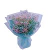 Anna BB026