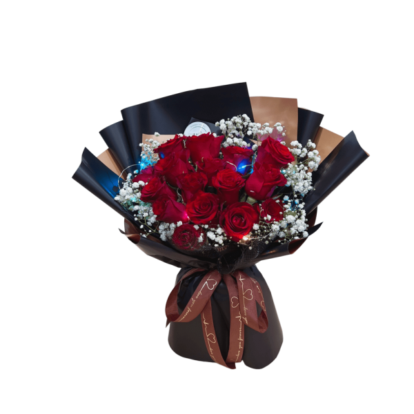 Sofia BB041