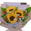 BB043-2.jpg Carel BB043