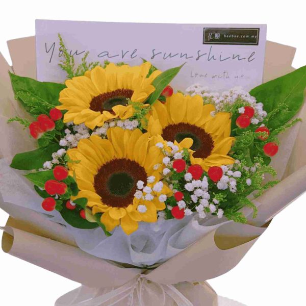 BB043-2.jpg Carel BB043