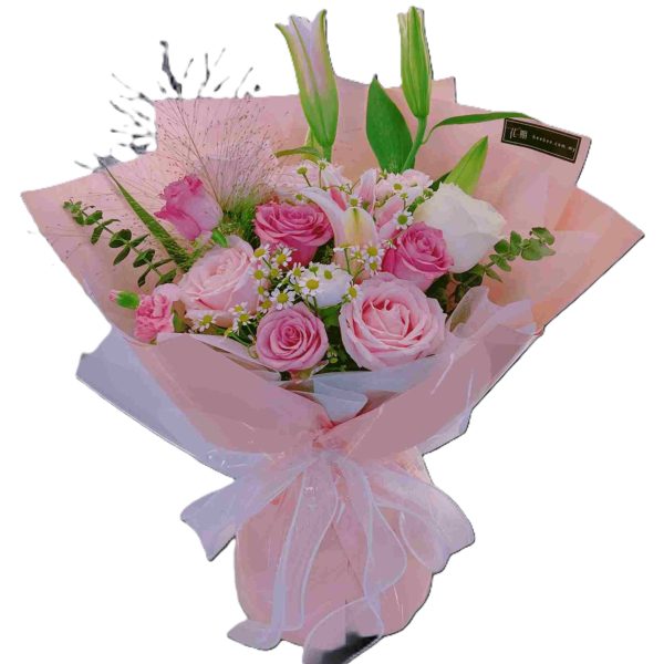 Vivian BB045