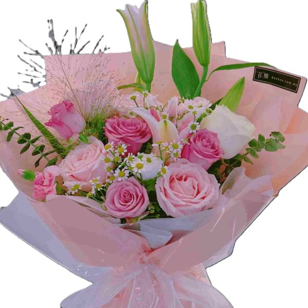 Vivian BB045