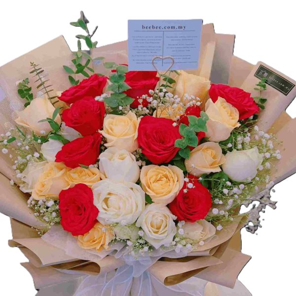 BB046-2.jpg BB046