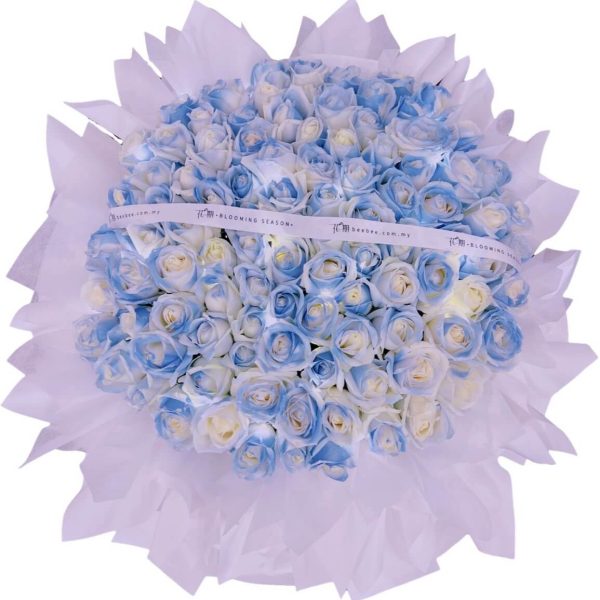 Luna BB049