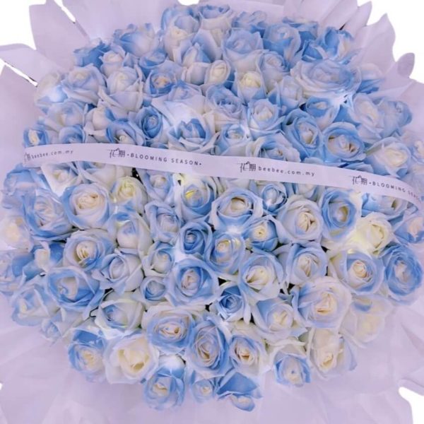 Luna BB049