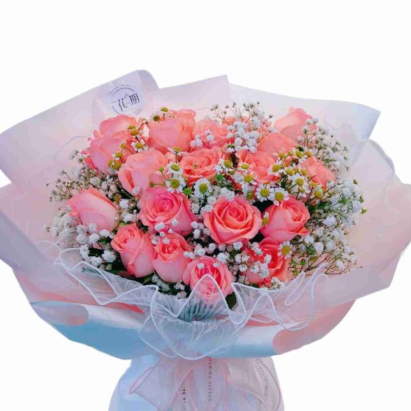 Ashley BB052