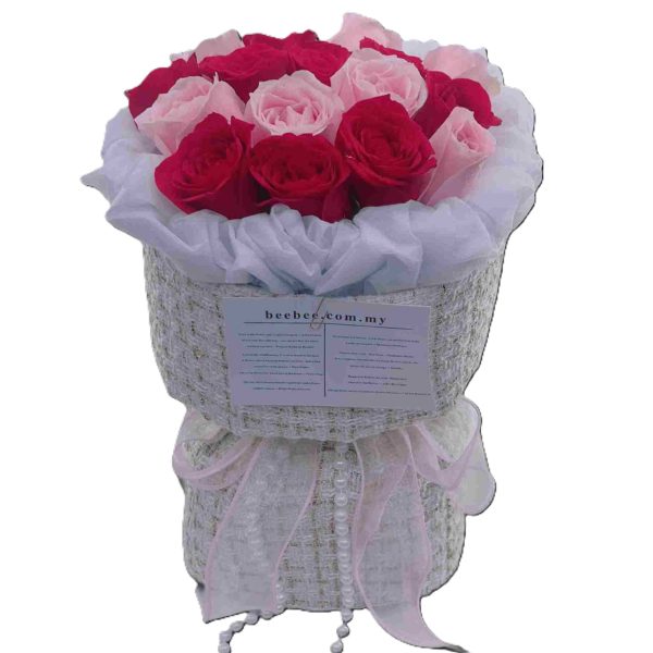 Anny BB054