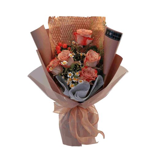 Aria BB055