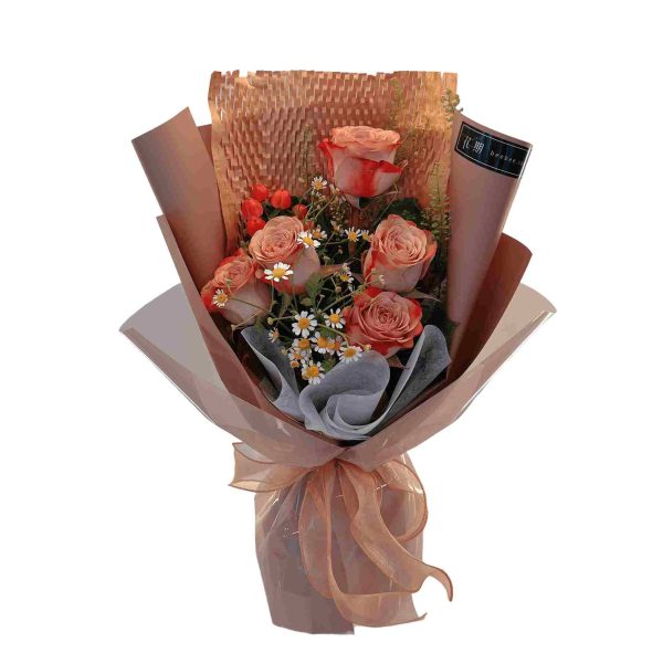 Aria BB055