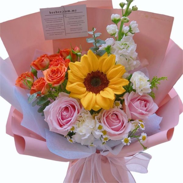 BB074-2.jpg BB074