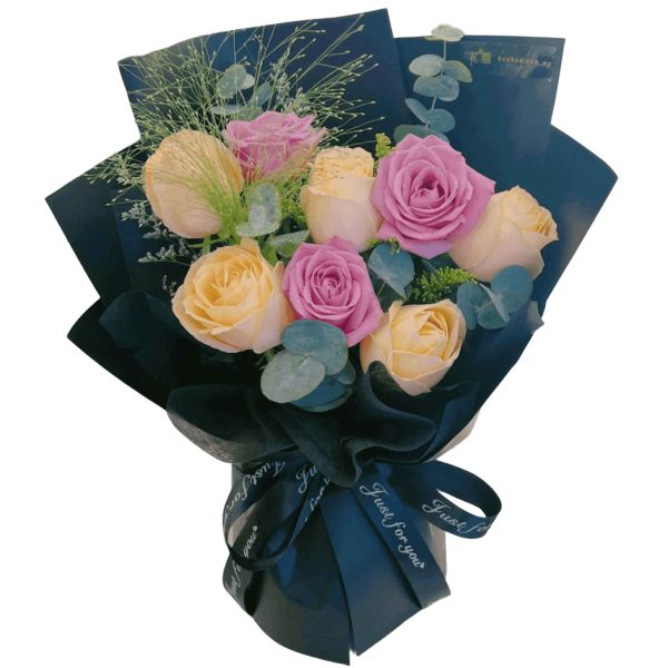 BB081-1.jpg Vera BB081