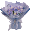 BB097-1.png Aurora BB097