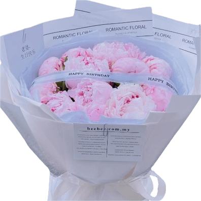 BB105-2.png BB105