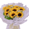 BB120-1.png Sunny BB120