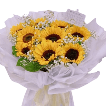 BB120-1.png Sunny BB120