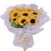 BB120.png Sunny BB120