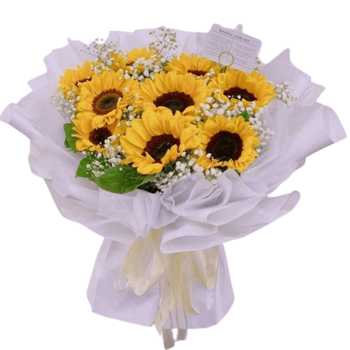 Sunny BB120