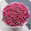 BB202-2.jpg BB202