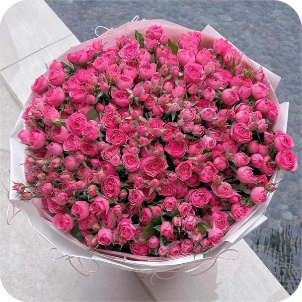 BB202-2.jpg BB202