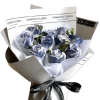 CC016-2.png Brie CC016