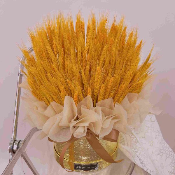 DD014-1.jpg Goldie DD014
