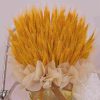 DD014-2.jpg Goldie DD014