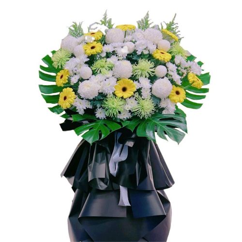 FF017