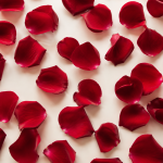 Red Rose Petals +RM65.00